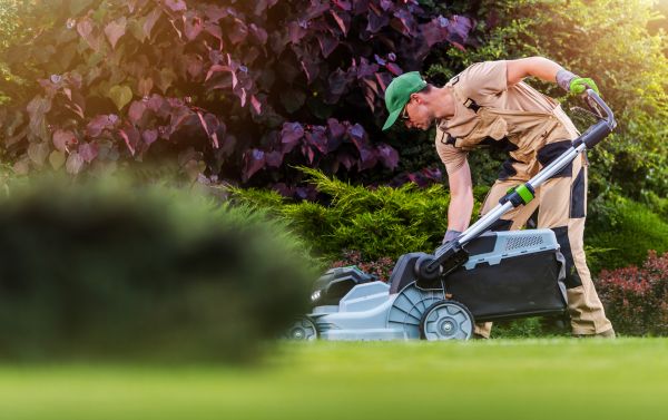Yard Care Service in Renton