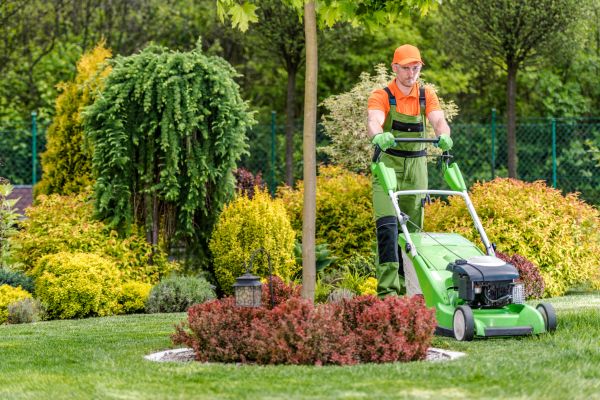 Yard Service in Renton