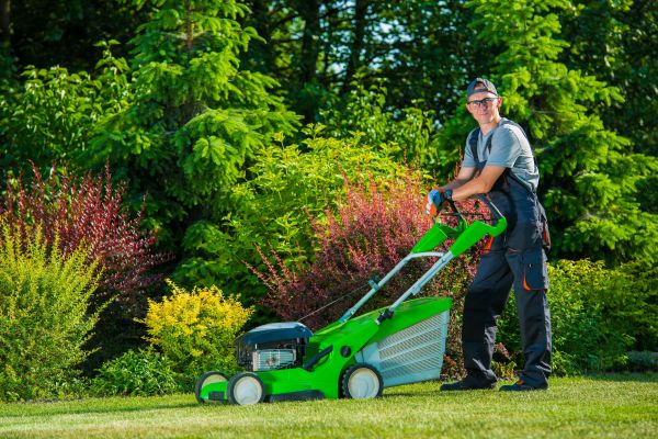 Yard Work Service in Renton