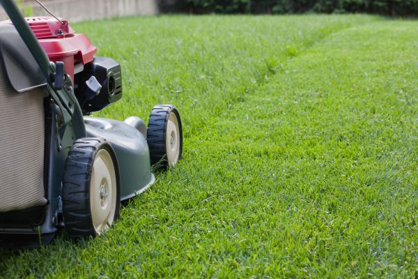 Residential Lawn Care in Renton