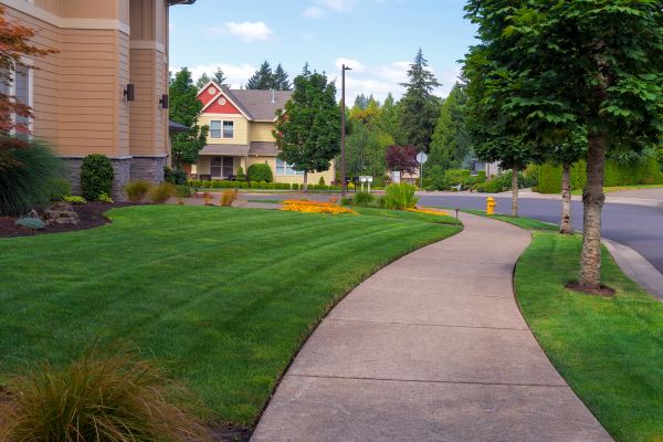 Home Lawn Maintenance in Renton