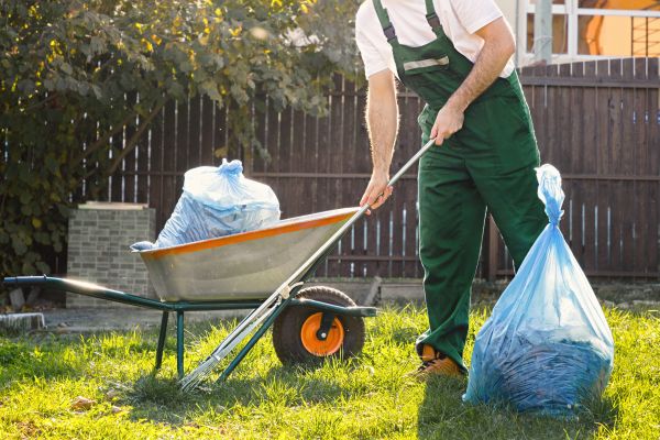 Yard Cleaning in Renton