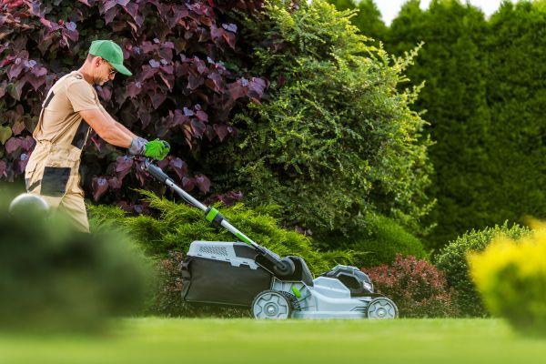 Lawn Management in Renton