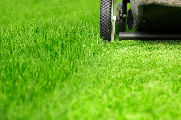 Weekly Lawn Care in Renton