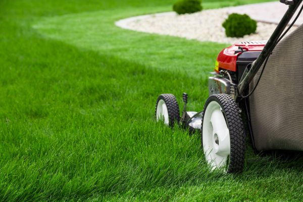 Lawn Trimming in Renton