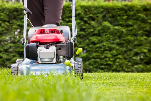 Grass Trimming Service in Renton