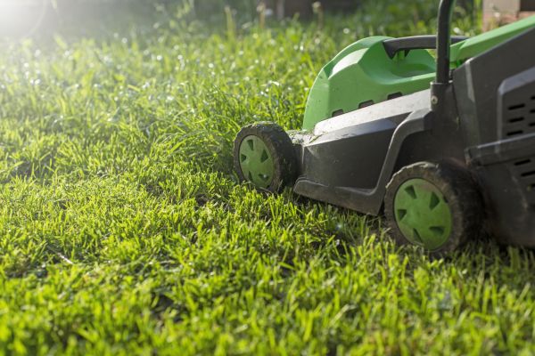 Lot Mowing in Renton