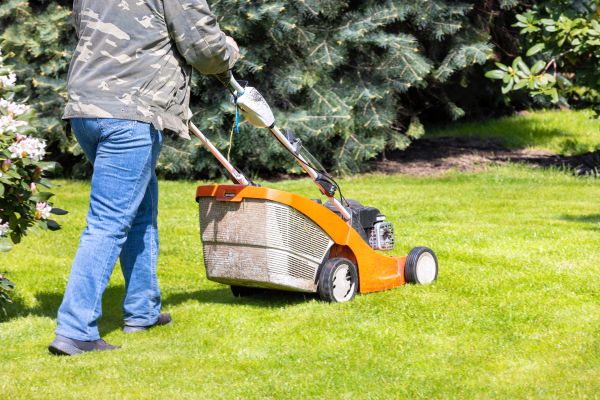 Springtime Lawn Care in Renton
