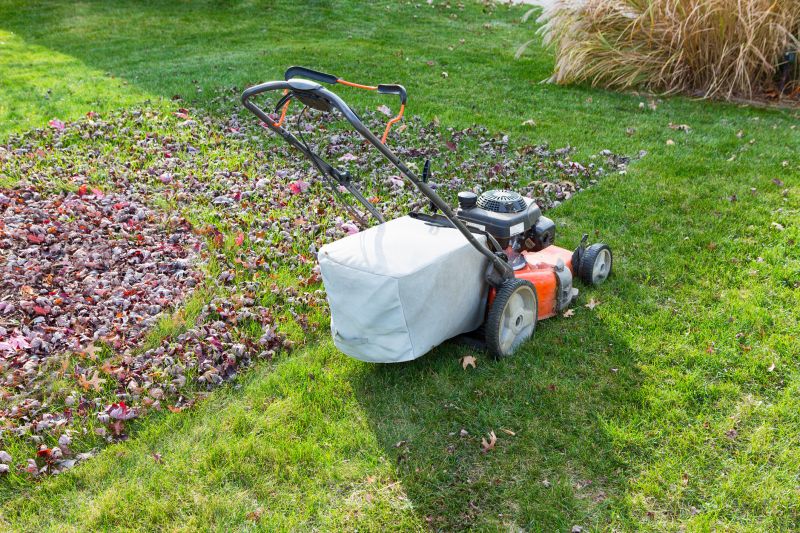 Healthy Fall Lawn